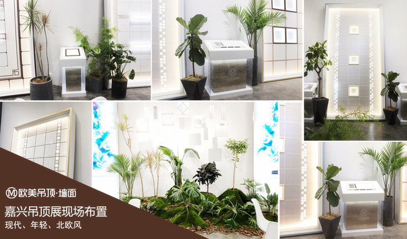 1_副本.jpg 1_副本.jpg